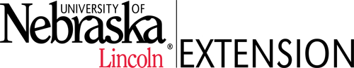 Extension Logo